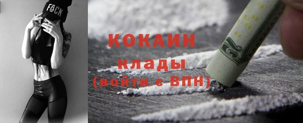 крисы Баксан