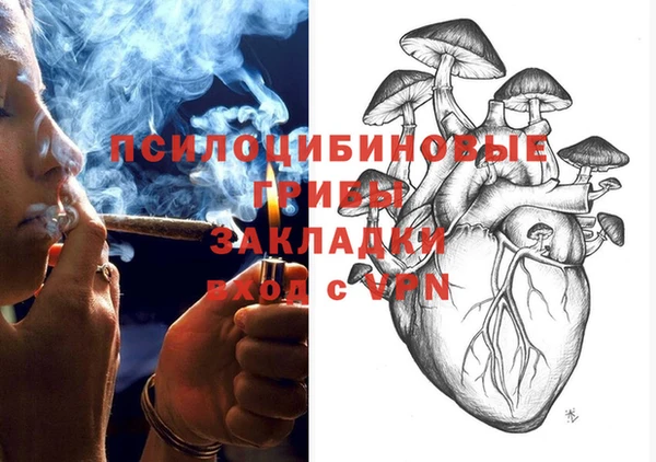 крисы Баксан