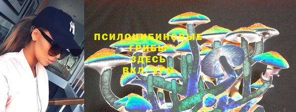 крисы Баксан