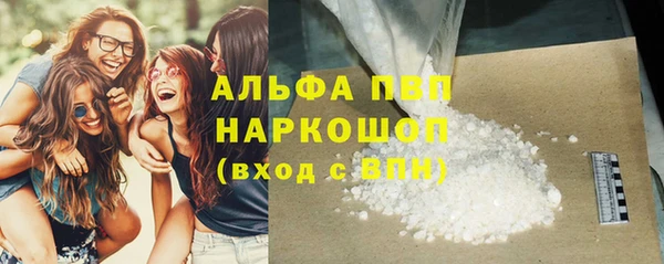 крисы Баксан